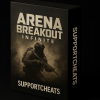Arena Breakout Infinite Private